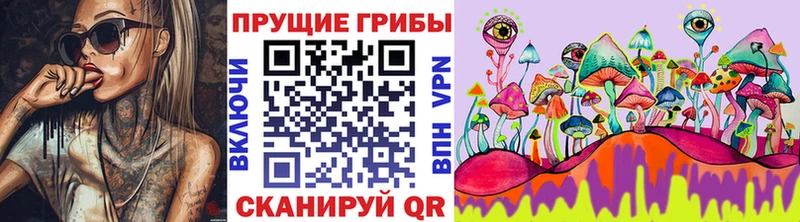 Галлюциногенные грибы мицелий Торжок